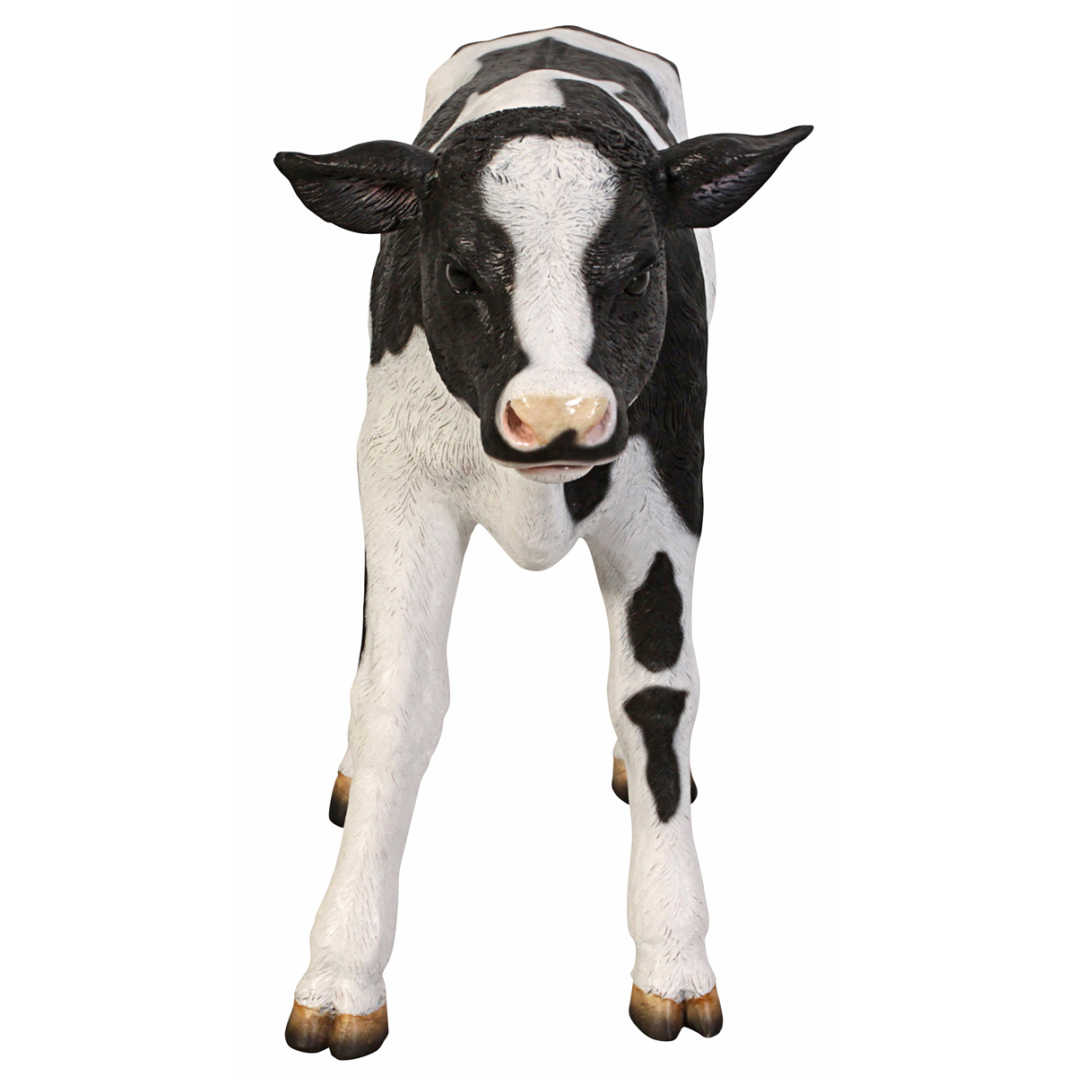 Image Thumbnail for Dt Buttercup Holstein Calf Statue